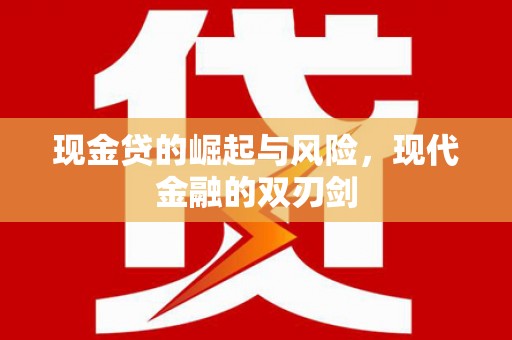 海北现金贷的崛起与风险，现代金融的双刃剑