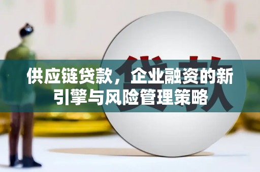 海北供应链贷款，企业融资的新引擎与风险管理策略
