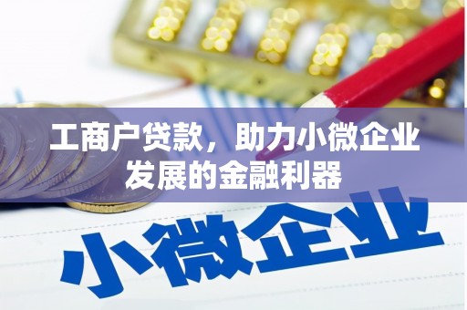 海北工商户贷款，助力小微企业发展的金融利器