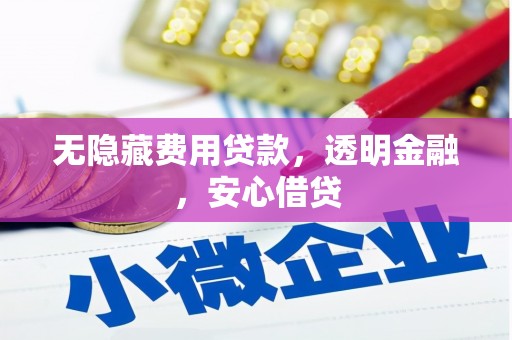 海北无隐藏费用贷款，透明金融，安心借贷