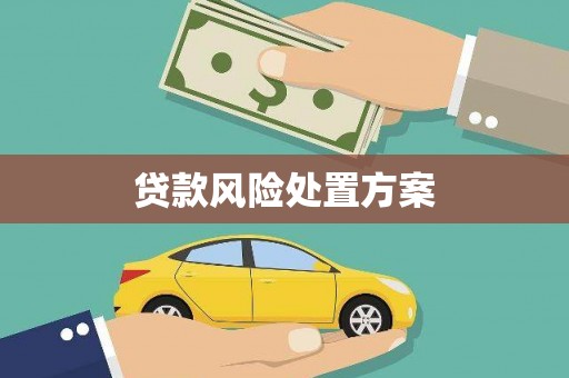 海北贷款风险处置方案