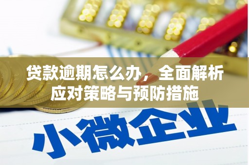 海北贷款逾期怎么办，全面解析应对策略与预防措施