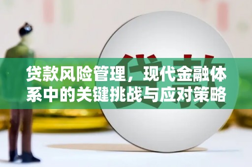 海北贷款风险管理，现代金融体系中的关键挑战与应对策略
