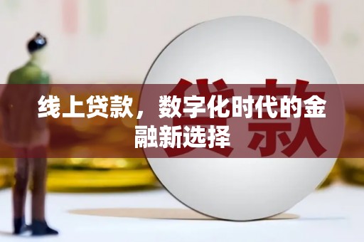海北线上贷款，数字化时代的金融新选择