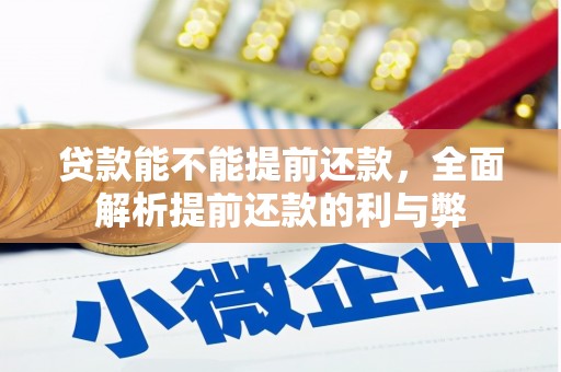 海北贷款能不能提前还款，全面解析提前还款的利与弊