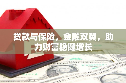 海北贷款与保险，金融双翼，助力财富稳健增长