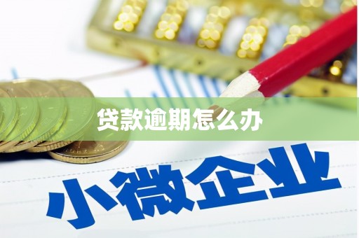 海北贷款逾期怎么办