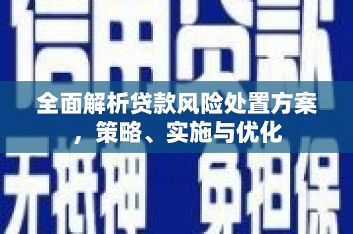 海北全面解析贷款风险处置方案，策略、实施与优化