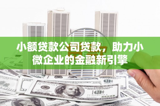 海北小额贷款公司贷款，助力小微企业的金融新引擎