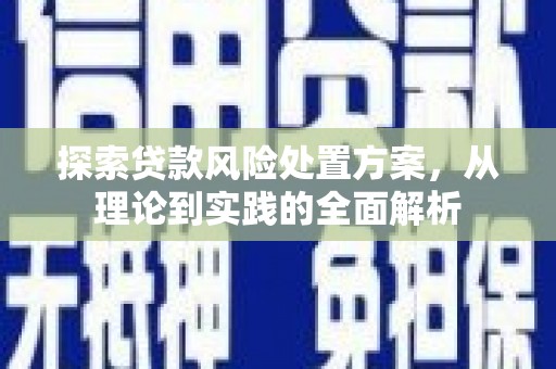 海北探索贷款风险处置方案，从理论到实践的全面解析