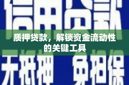 海北质押贷款，解锁资金流动性的关键工具
