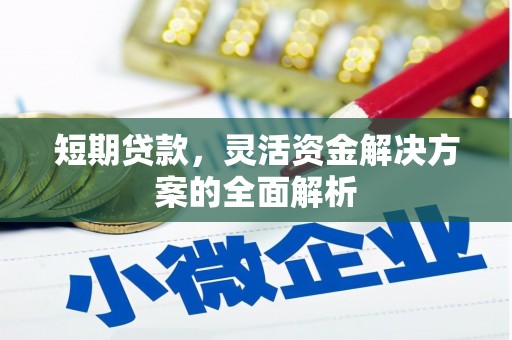 海北短期贷款，灵活资金解决方案的全面解析