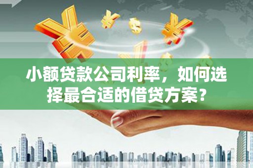 海北小额贷款公司利率，如何选择最合适的借贷方案？