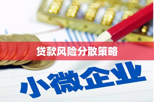 海北贷款风险分散策略