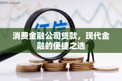海北消费金融公司贷款，现代金融的便捷之选