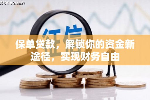 海北保单贷款，解锁你的资金新途径，实现财务自由