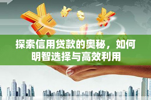 海北探索信用贷款的奥秘，如何明智选择与高效利用