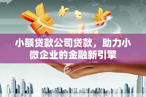 海北小额贷款公司贷款，助力小微企业的金融新引擎