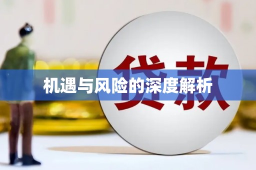 海北机遇与风险的深度解析