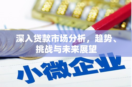 海北深入贷款市场分析，趋势、挑战与未来展望