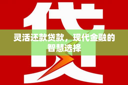 海北灵活还款贷款，现代金融的智慧选择