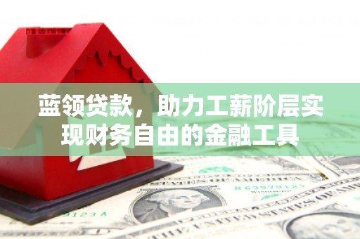 海北蓝领贷款，助力工薪阶层实现财务自由的金融工具