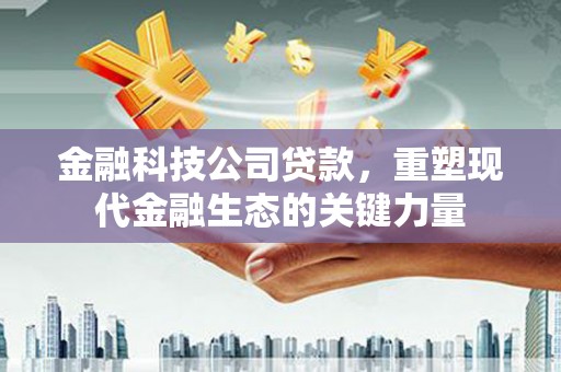 海北金融科技公司贷款，重塑现代金融生态的关键力量