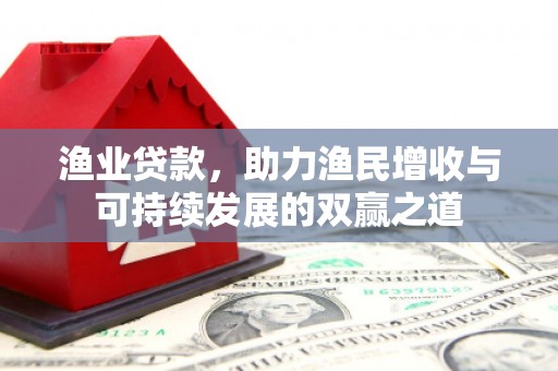 海北渔业贷款，助力渔民增收与可持续发展的双赢之道
