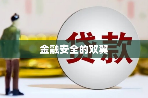 海北金融安全的双翼