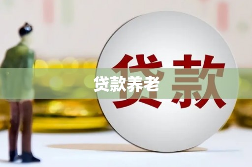 海北贷款养老