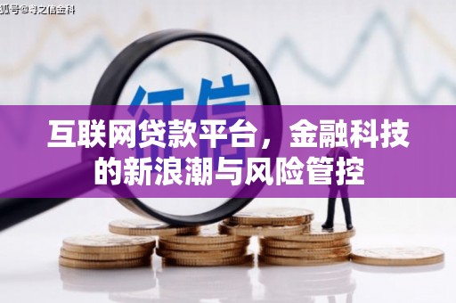 海北互联网贷款平台，金融科技的新浪潮与风险管控