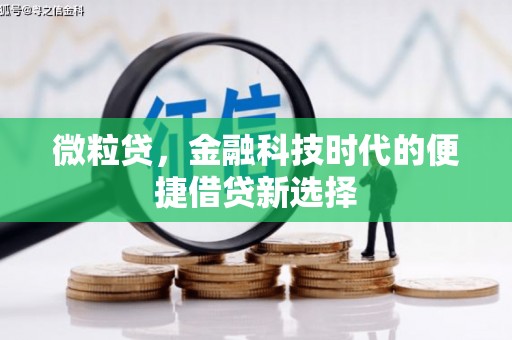 海北微粒贷，金融科技时代的便捷借贷新选择