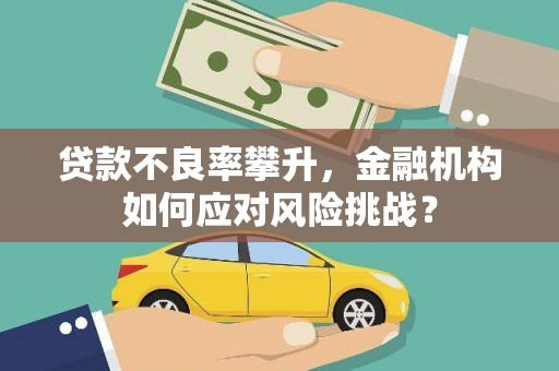 海北贷款不良率攀升，金融机构如何应对风险挑战？