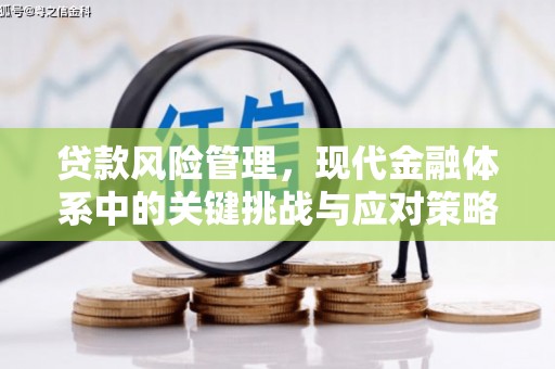 海北贷款风险管理，现代金融体系中的关键挑战与应对策略