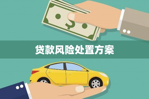 海北贷款风险处置方案