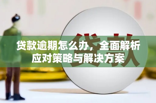海北贷款逾期怎么办，全面解析应对策略与解决方案