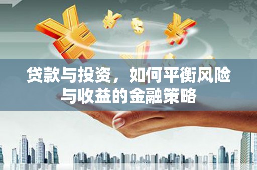 海北贷款与投资，如何平衡风险与收益的金融策略