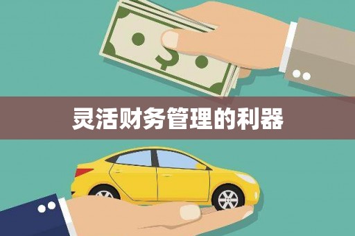 海北灵活财务管理的利器