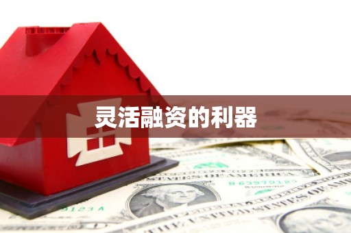 海北灵活融资的利器