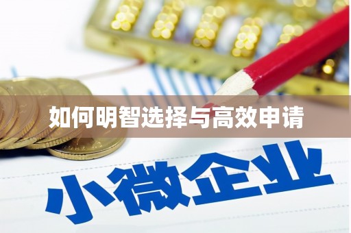 海北如何明智选择与高效申请