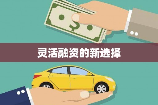海北灵活融资的新选择