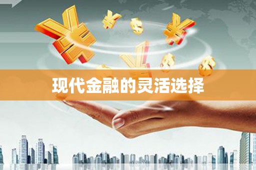 海北现代金融的灵活选择