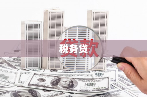 海北税务贷