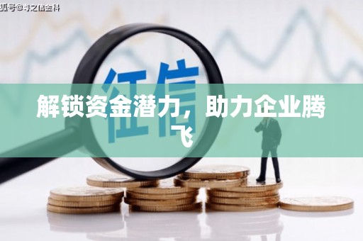 海北解锁资金潜力，助力企业腾飞