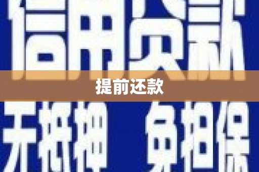 海北提前还款