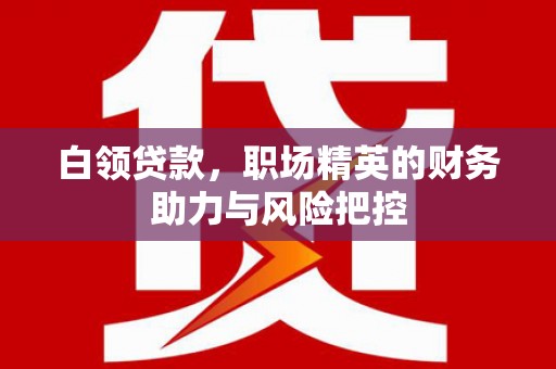 海北白领贷款，职场精英的财务助力与风险把控