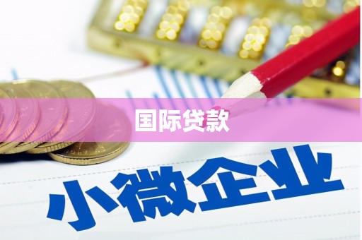 海北国际贷款